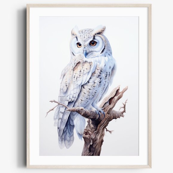 Creative Path Studios Other - Watercolor White Owl Portrait Wall Art Illustration Print Poster Unframed